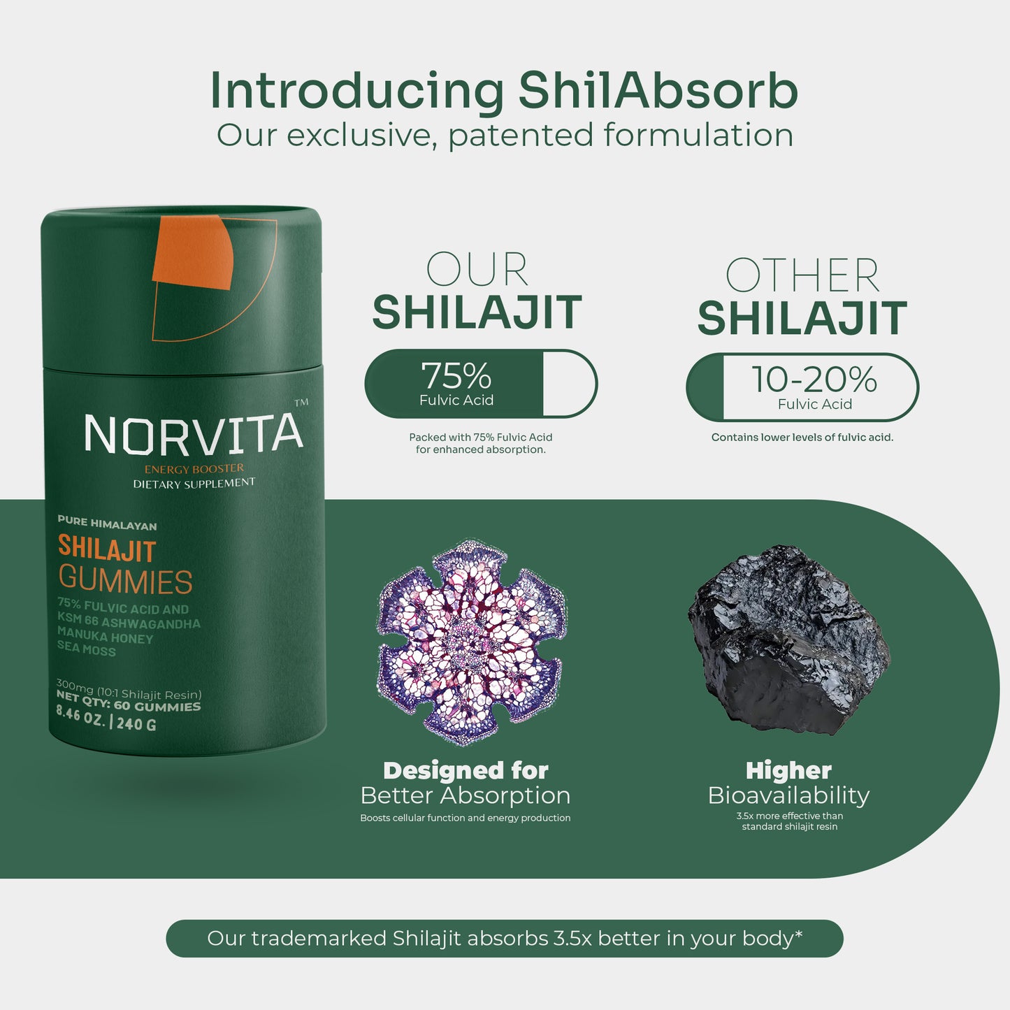Norvita  Pure Himalayan Shilajit Gummies Men & Women With Ashwagandha| Manuka Honey| Sea Moss| Black Seed Oil| Fulvic Acid & 85+ Trace Minerals Prenatal Vitamins