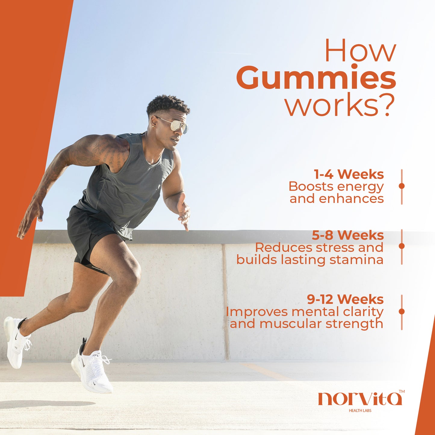 Norvita Pure Himalayan Shilajit Gummies Men & Women With Ashwagandha| Manuka Honey| Sea Moss| Black Seed Oil| Fulvic Acid & 85+ Trace MineralsI Prenatal Vitamins